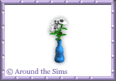 Around the Sims