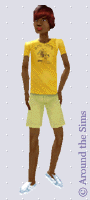 Around the Sims