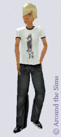 Around the Sims