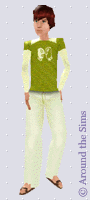 Around the Sims