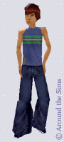Around the Sims