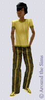 Around the Sims
