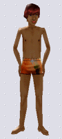 Around the Sims