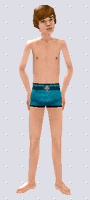 Around the Sims