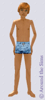 Around the Sims