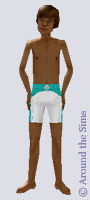 Around the Sims