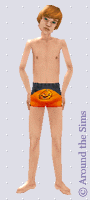 Around the Sims