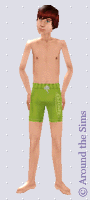 Around the Sims