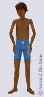 Around the Sims
