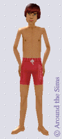 Around the Sims