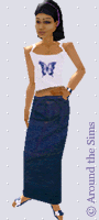 Around the Sims