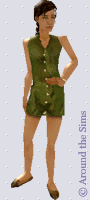 Around the Sims