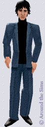 Around the Sims