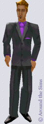Around the Sims