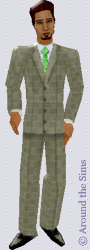 Around the Sims