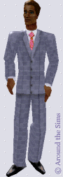 Around the Sims