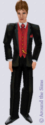 Around the Sims