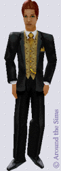Around the Sims