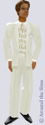 Around the Sims