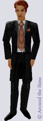 Around the Sims