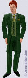 Around the Sims