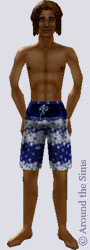 Around the Sims