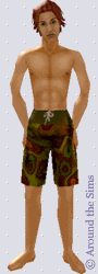 Around the Sims