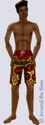 Around the Sims