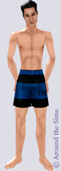 Around the Sims