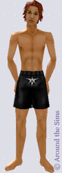 Around the Sims