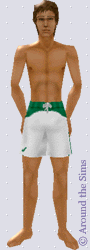 Around the Sims