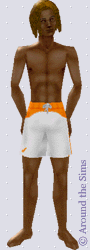 Around the Sims