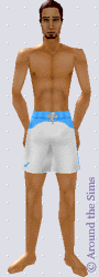 Around the Sims