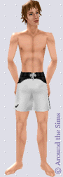 Around the Sims