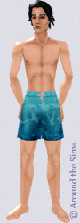 Around the Sims