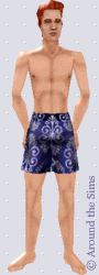 Around the Sims