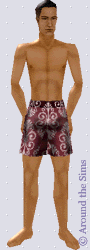Around the Sims