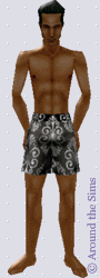 Around the Sims