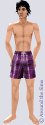 Around the Sims