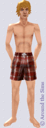 Around the Sims
