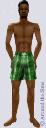 Around the Sims