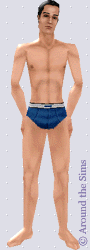 Around the Sims