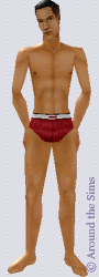 Around the Sims