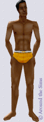 Around the Sims