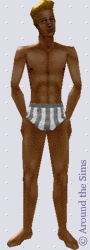 Around the Sims