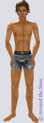Around the Sims
