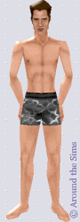 Around the Sims