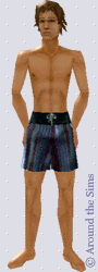 Around the Sims