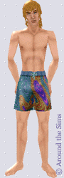 Around the Sims