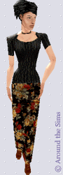 Around the Sims